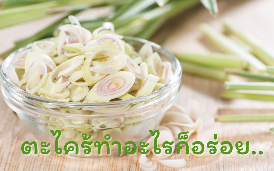 ตะไคร้ ช้อนพลาสติก ช้อนขนม ช้อนขนมหวาน ช้อนน่ารัก ช้อนพลั่ว