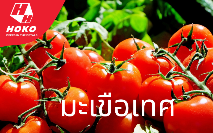 มะเขือเทศ ช้อนส้อมพลาสติก