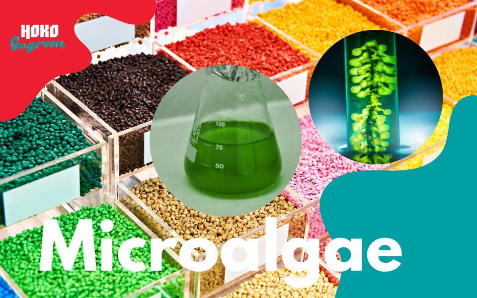 Microalgae ช้อนพลาสติก ช้อนส้อมพลาสติก