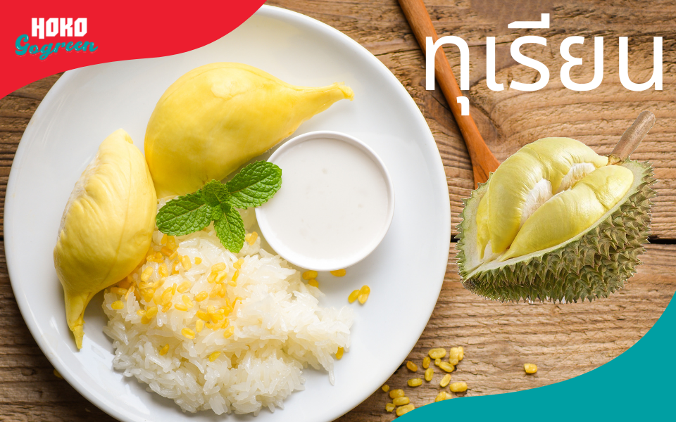 ทุเรียน ช้อนพลาสติก ช้อนส้อมพลาสติก